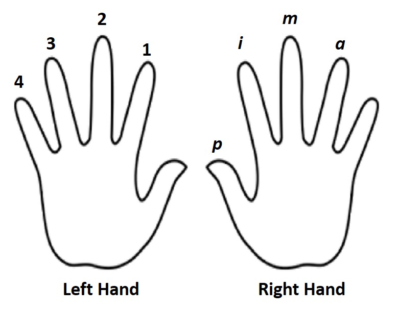 Finger Numbering